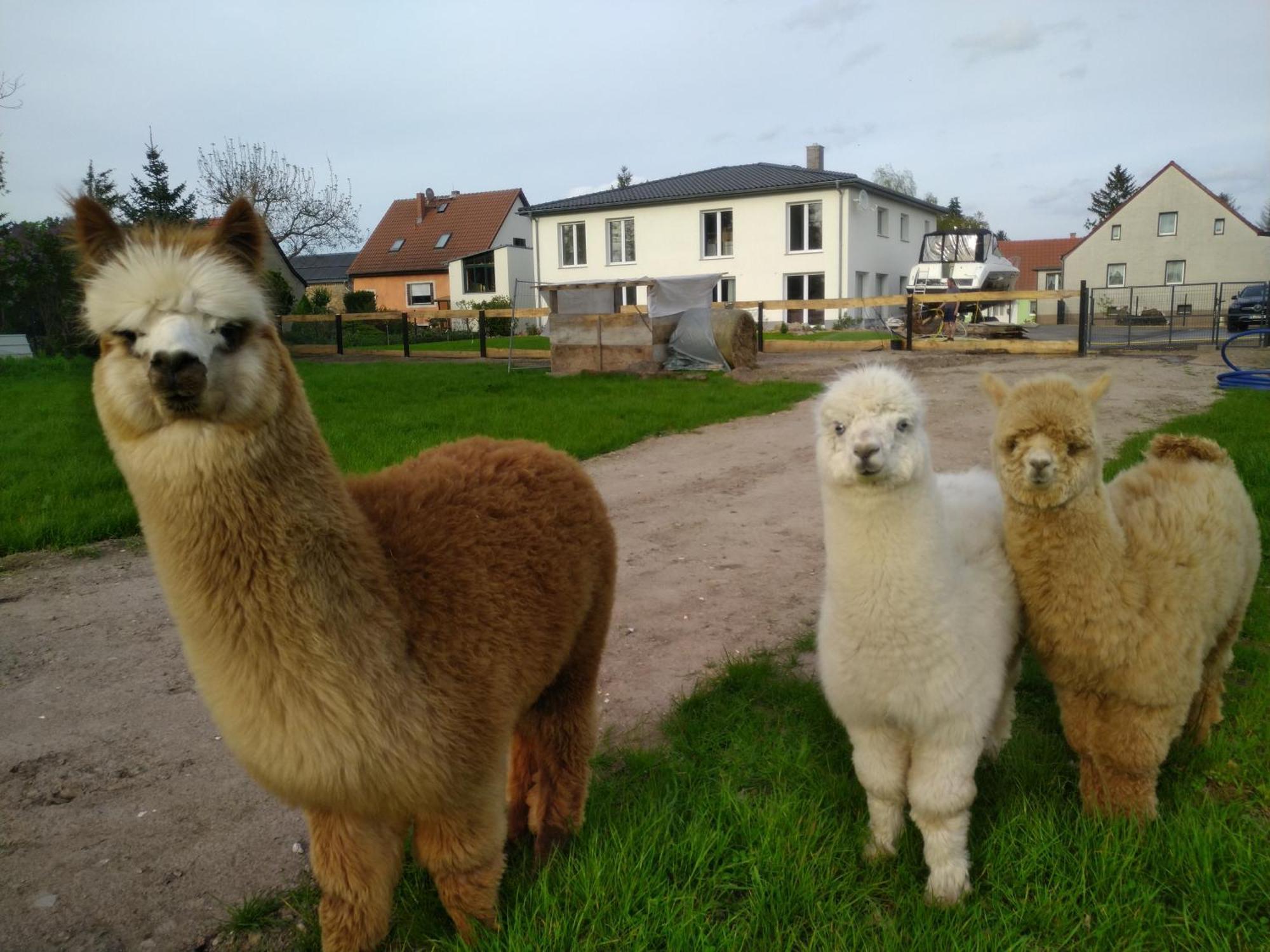 Ferienwohnung Beetzseeheide Ketzur Luaran gambar
